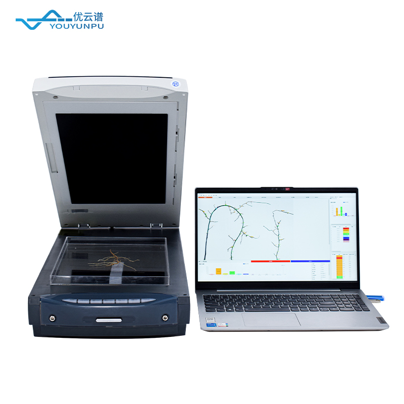 從根部看成長(zhǎng)：根系分析儀在作物管理中的重要作用